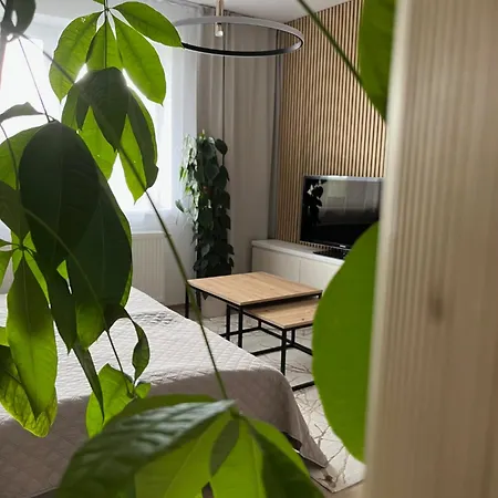 S12 Apartment *